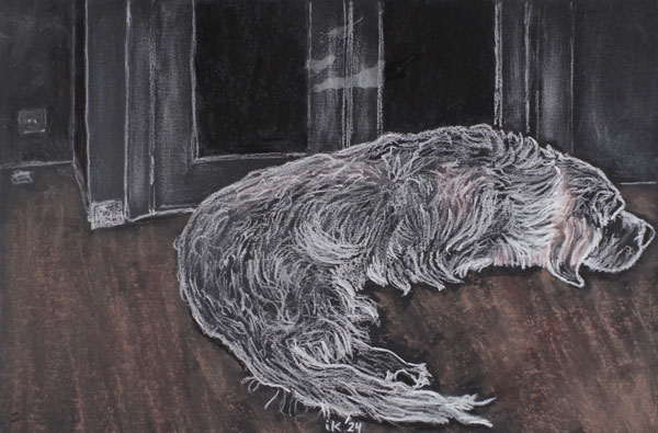 Dibujo de un perro de la raza Golden Retriever, tumbado sobre un suelo que parece de madera, y junto a las puertas de un armario.